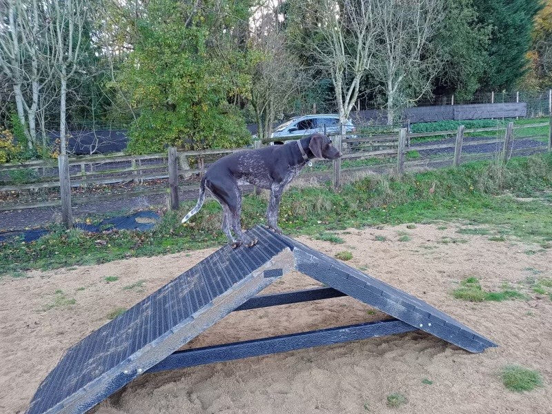 Sustainable and durable dog agility equipment weatherproof by DCW Polymers Ltd