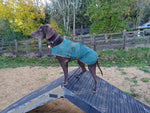 Sustainable and durable dog agility equipment weatherproof by DCW Polymers Ltd