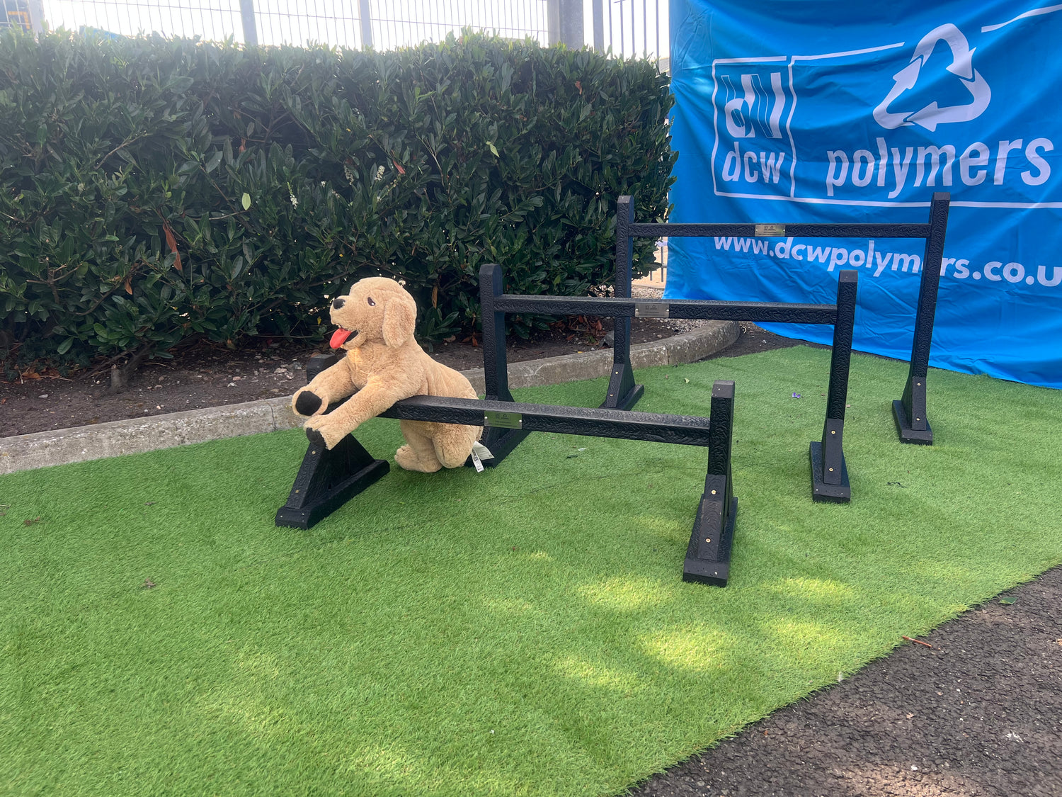 The Dog Jump Hurdles