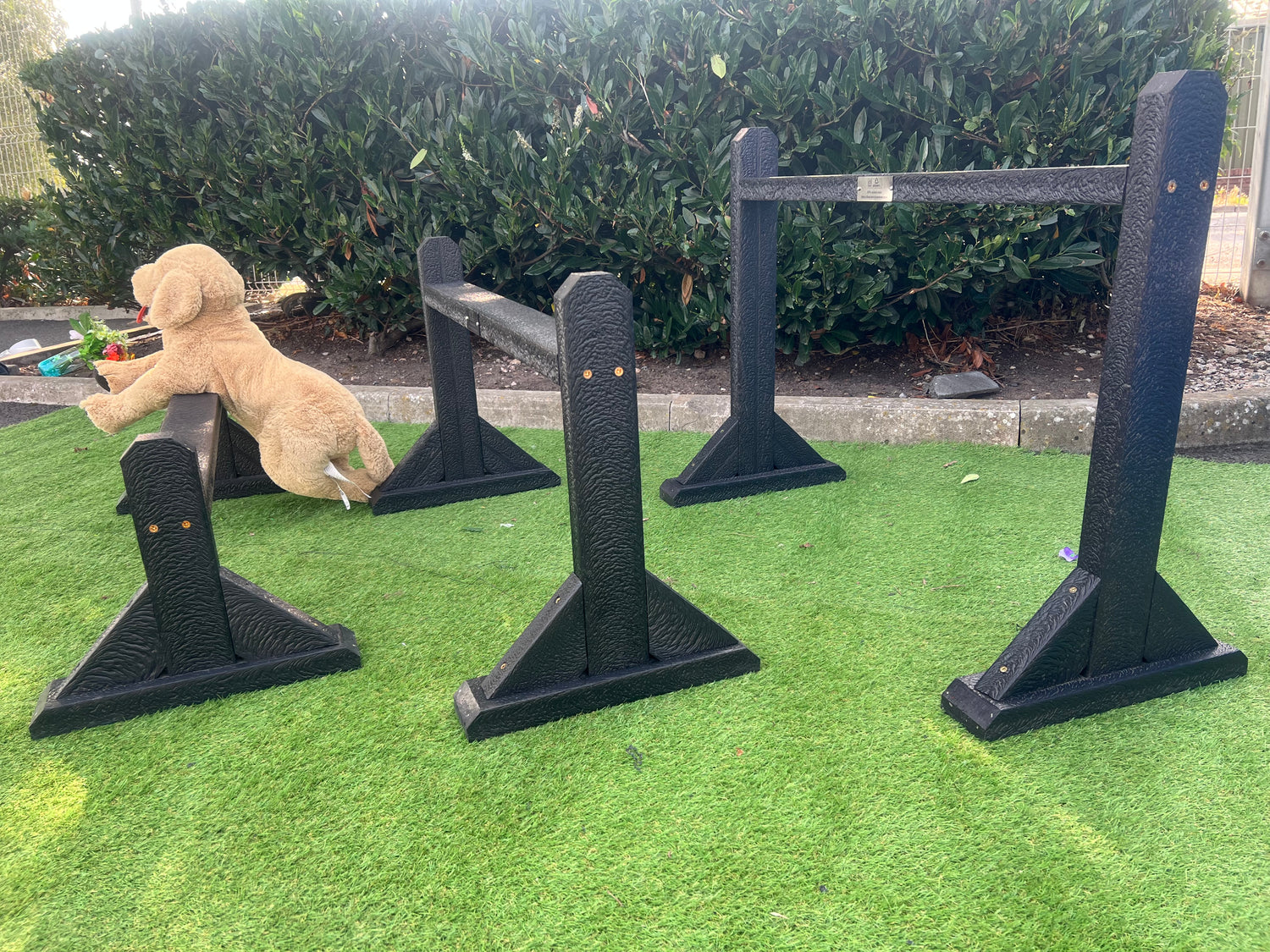 The Dog Jump Hurdles