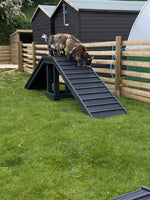 Sustainable recycled plastic dog agility equipment by DCW Polymers Ltd