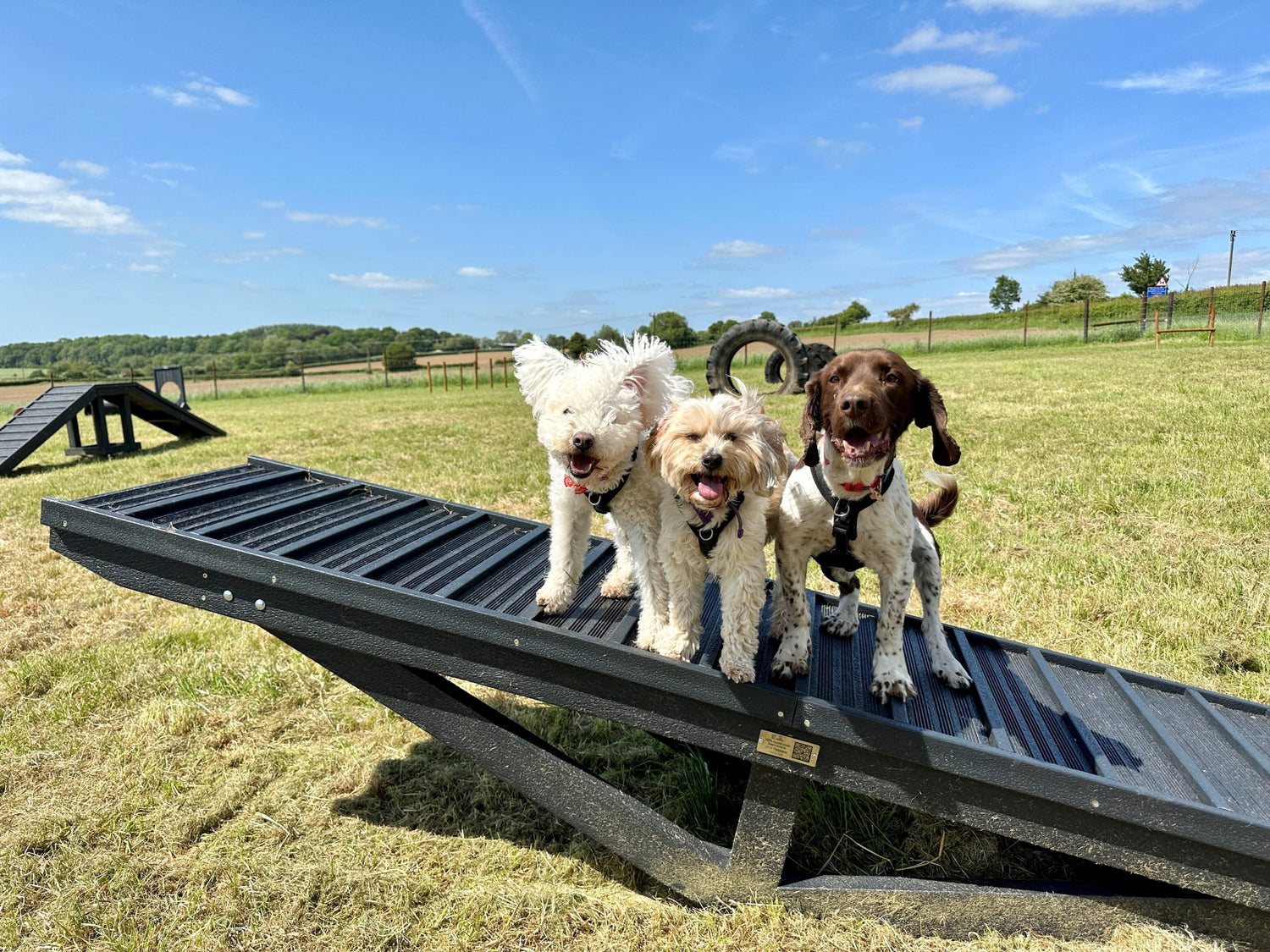 Sustainable dog agility equipment
