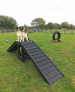 Sustainable recycled plastic dog agility equipment by DCW Polymers Ltd